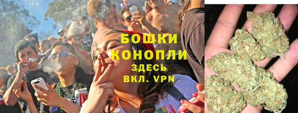 шишки Алзамай