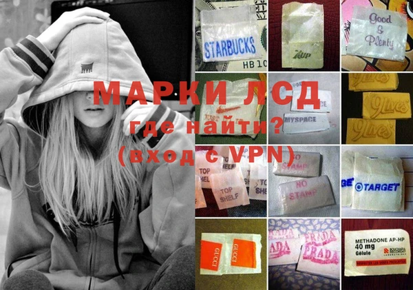 шишки Абинск