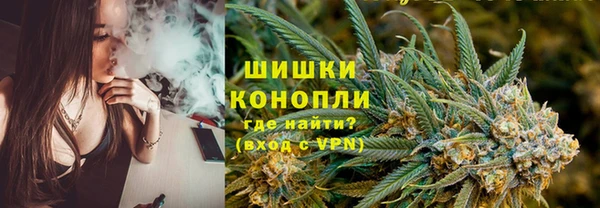 шишки Алзамай